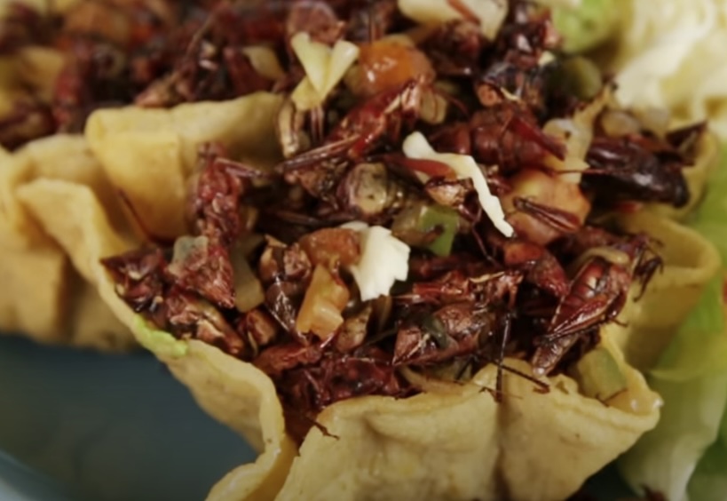 Chapulines